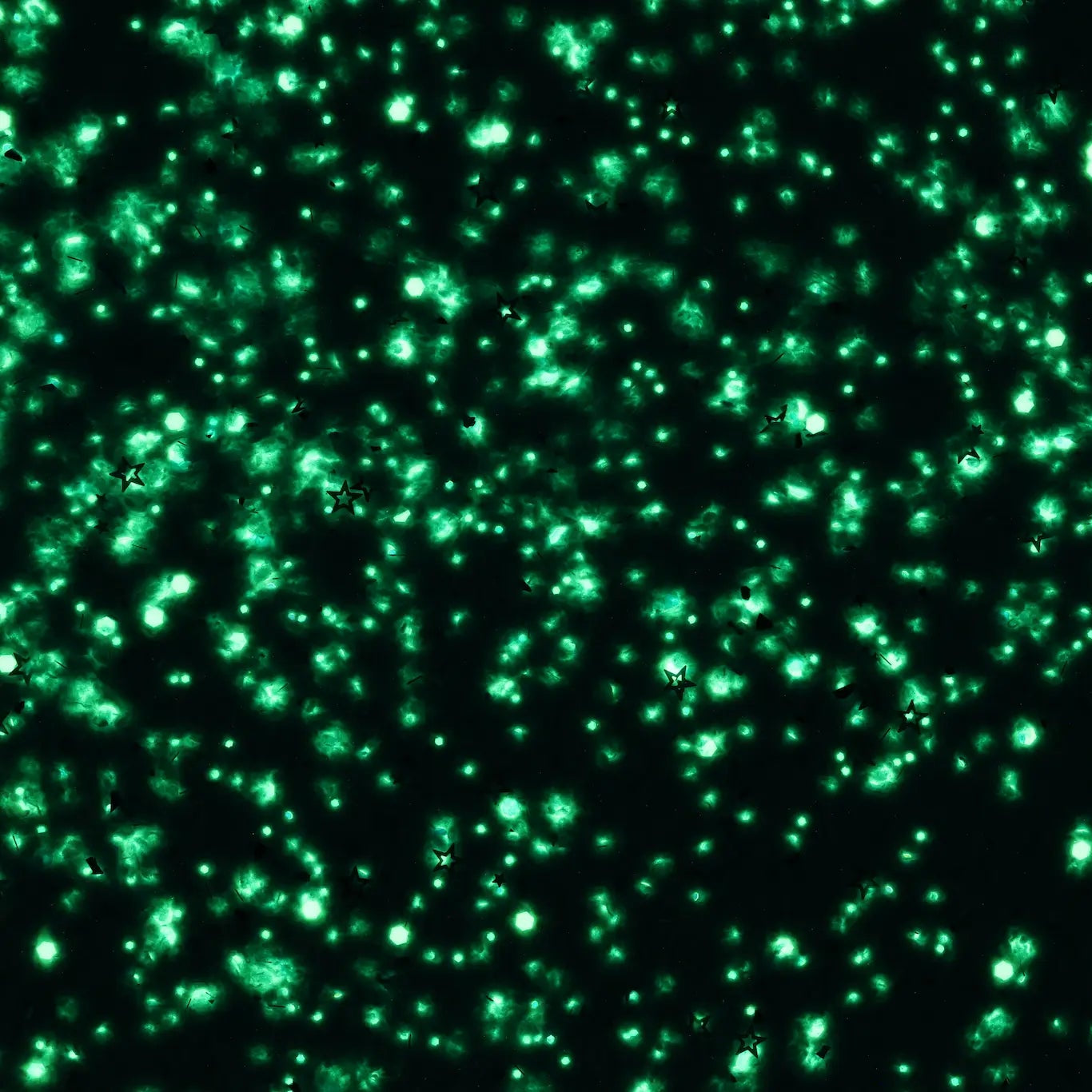 Glow in the dark MicaWall